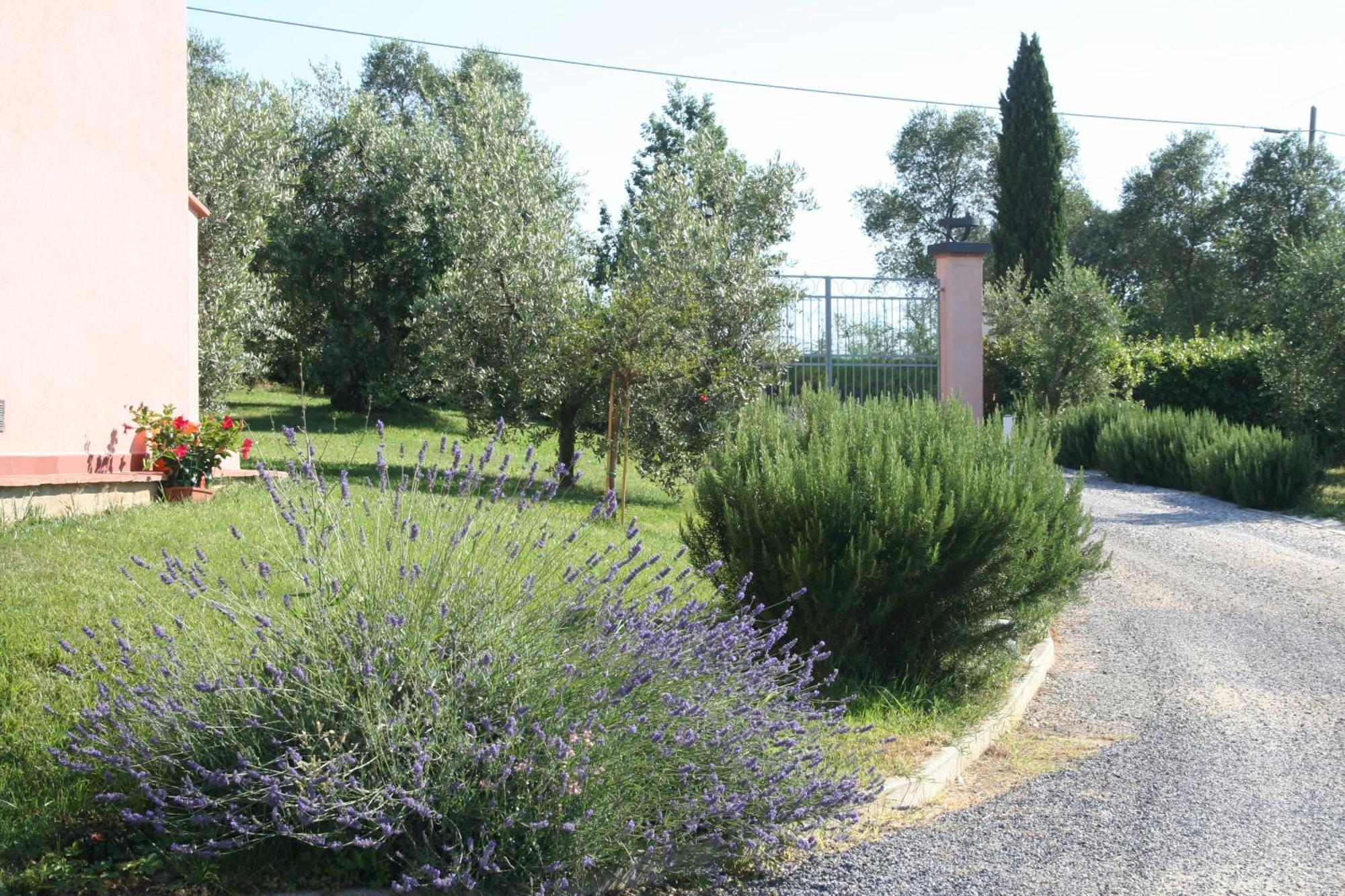Agriturismo Gli Archi Fauglia Ngoại thất bức ảnh
