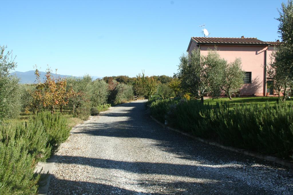 Agriturismo Gli Archi Fauglia Ngoại thất bức ảnh