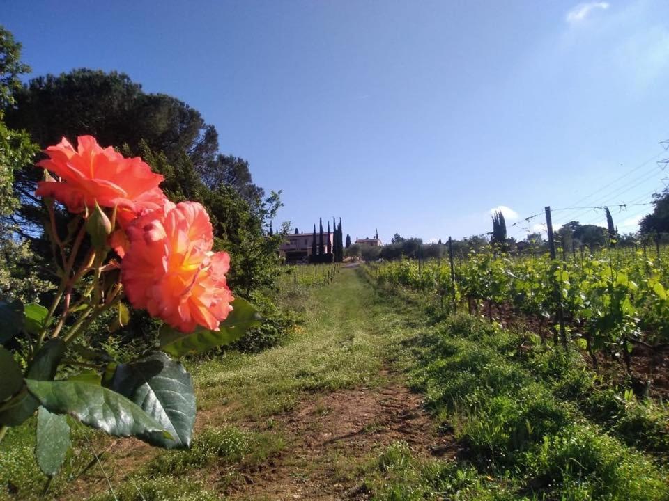 Agriturismo Gli Archi Fauglia Ngoại thất bức ảnh