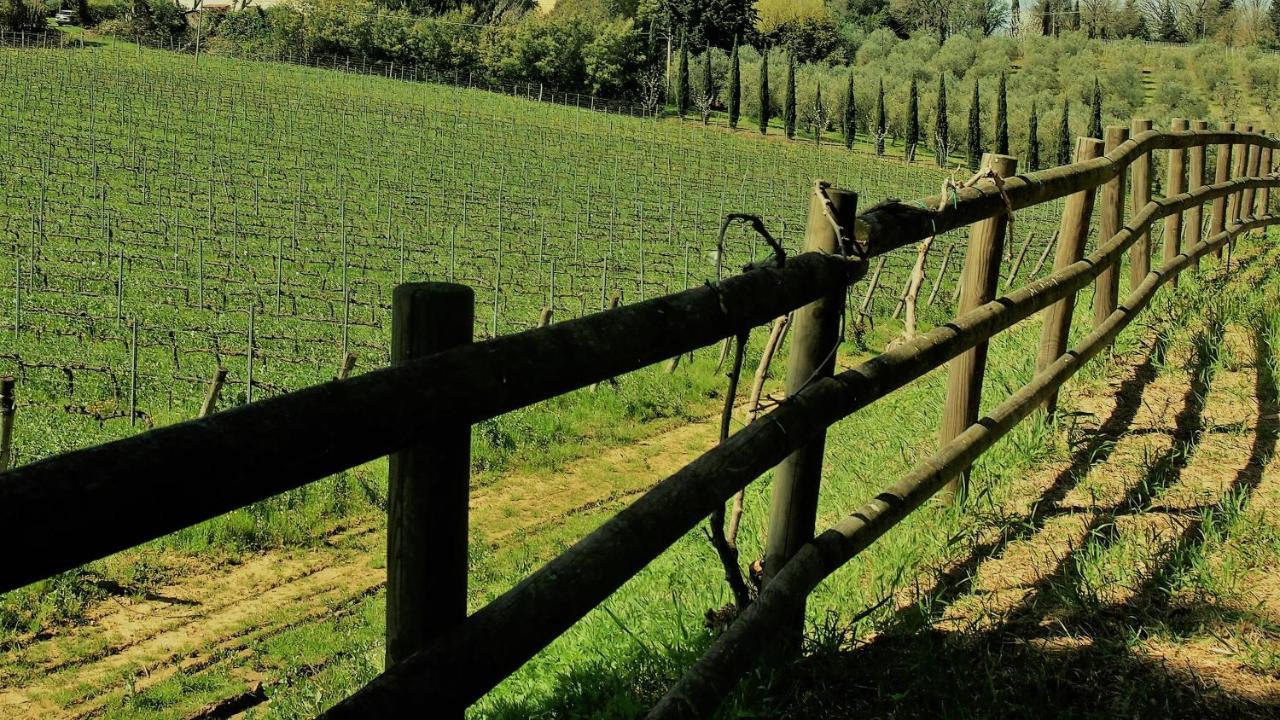Agriturismo Gli Archi Fauglia Ngoại thất bức ảnh